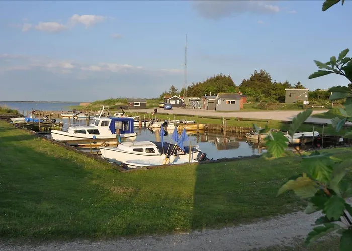 30314-ulfborg-anemonevej-299-c Dom wakacyjny